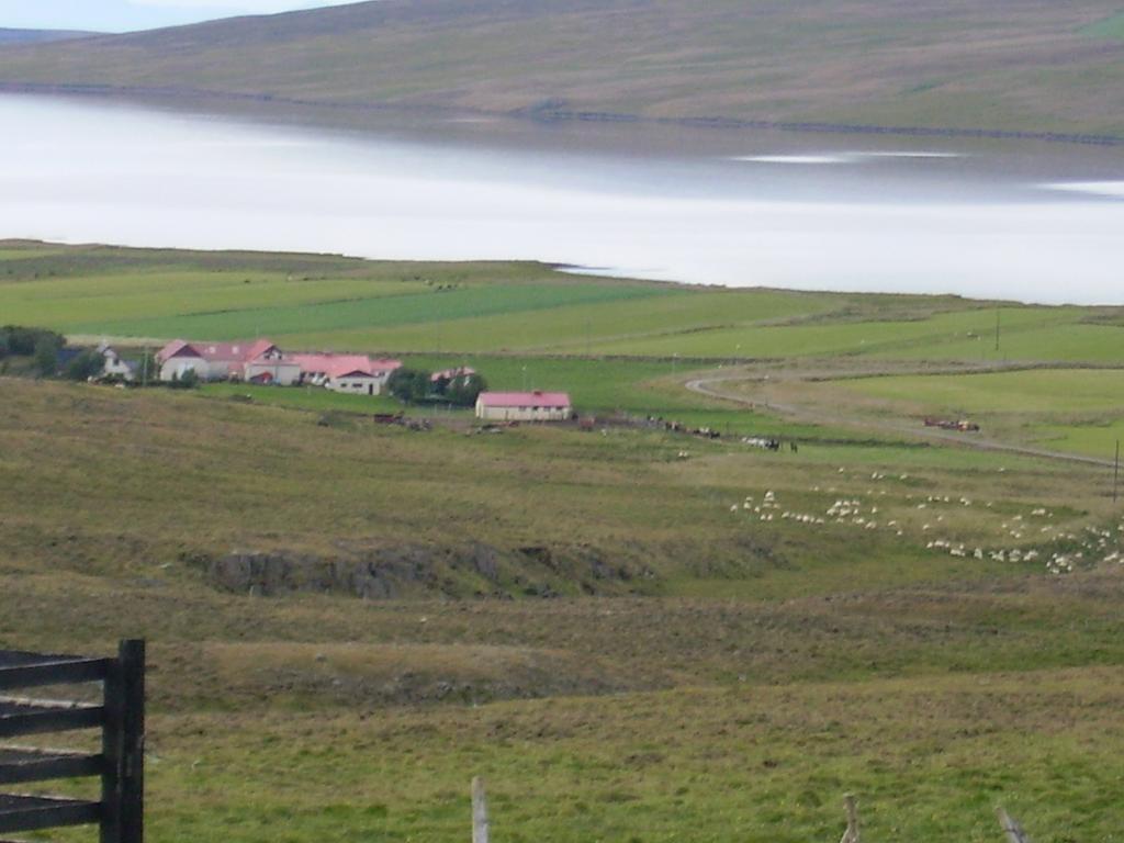 Stekkjardalur Holiday Home Svinavatn Экстерьер фото